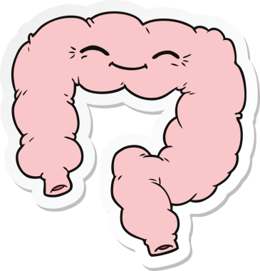 Bir insan tarafından çizilmiş mutlu kalın bağırsak çıkartması.