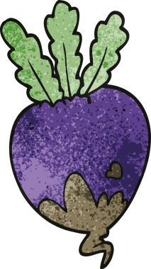 bir insan tarafından çizilmiş pancar kökü.