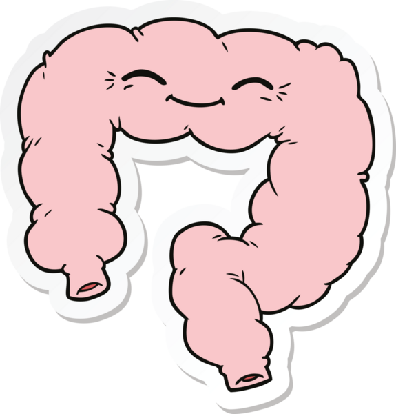 Bir insan tarafından çizilmiş mutlu kalın bağırsak çıkartması.