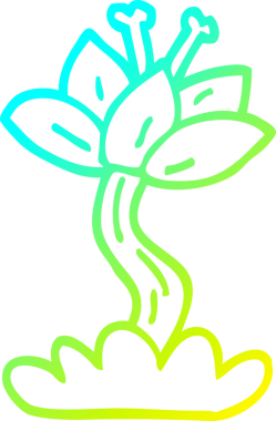 Bir insan tarafından çizilmiş nilüfer çiçeğinin soğuk çizgi çizimi