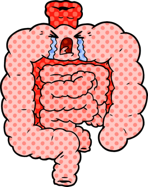 Bir insan tarafından çizilmiş bağırsaklar.