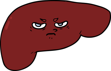 Bir insan tarafından çizilmiş karaciğer.