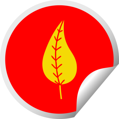 Bir insan tarafından çizilmiş yeşil yaprağın dairesel kabuk soyma etiketi.