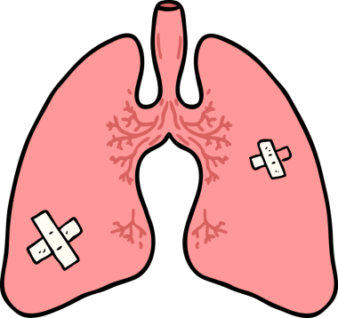 Bir insan tarafından çizilmiş karikatür ciğerleri.