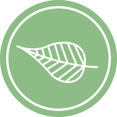 Bir insan tarafından çizilmiş doğal yaprak dairesel simgesi