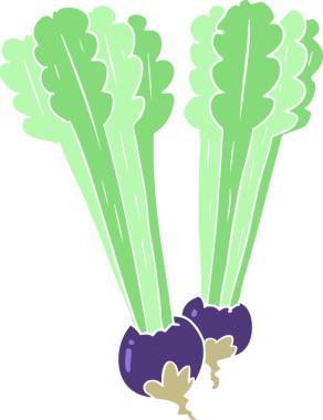 Bir insan tarafından çizilmiş düz renkli pancar kökü.