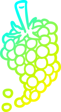 Bir insan tarafından çizilmiş bir demet üzümün soğuk gradyan çizimi