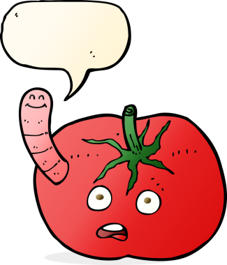 Bir insan tarafından çizilmiş konuşma baloncuklu solucanlı domates.