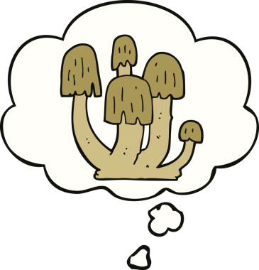 Bir insan tarafından çizilmiş düşünce baloncuklu mantarlar.