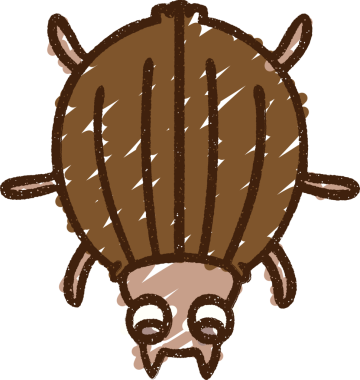 Bir insan tarafından çizilen Böcek Tebeşiri