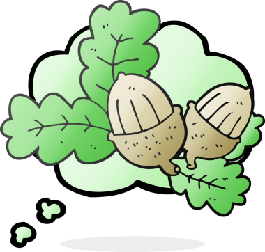 Düşünce baloncuğu meşe palamudu ve yaprakları bir insan tarafından çizildi.