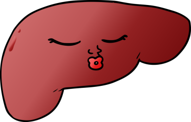 Bir insan tarafından çizilmiş güzel karaciğer.