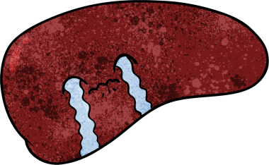 Bir insan tarafından çizilmiş karaciğer ağlaması.