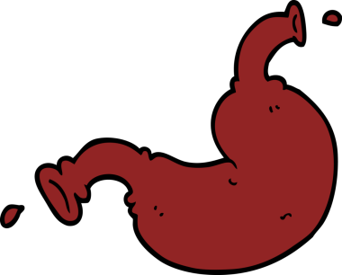 bir insan tarafından çizilmiş insan organı.