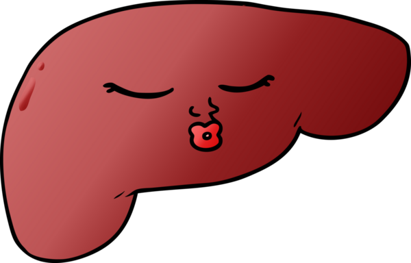 Bir insan tarafından çizilmiş güzel karaciğer.