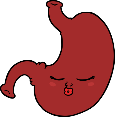 Bir insan tarafından çizilmiş midem.