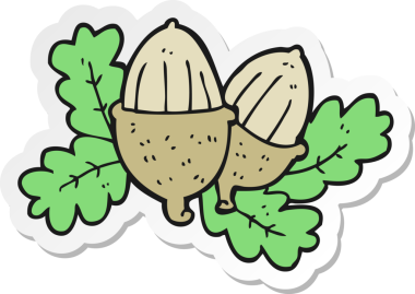 Bir insan tarafından çizilmiş meşe palamudu çıkartması.