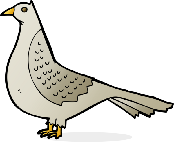 Bir insan tarafından çizilmiş çizgi film kuşu.