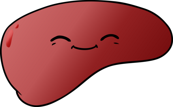 Bir insan tarafından çizilmiş karaciğer.