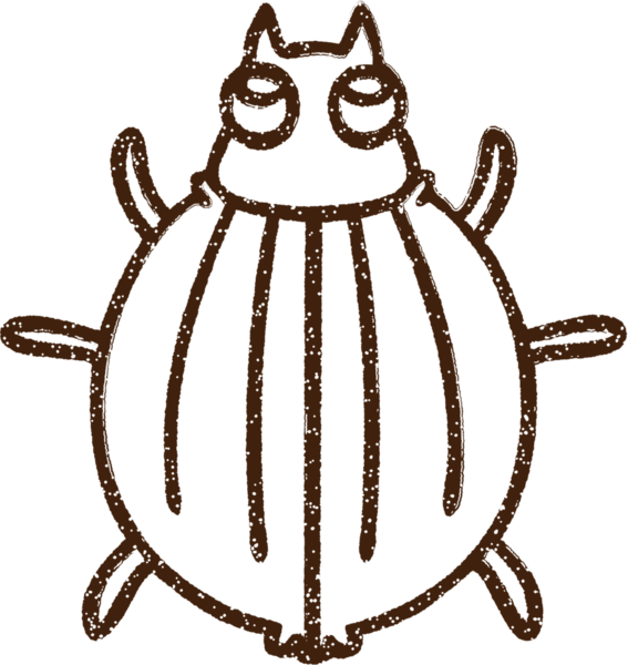 Bir insan tarafından çizilen Böcek Kömürü