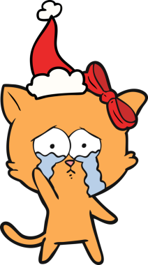 Bir insan tarafından çizilmiş Noel Baba şapkası takan bir kedinin çizimi.