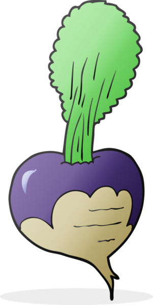 Bir insan tarafından çizilmiş pancar pancarı.