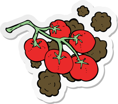 Bir insan tarafından çizilmiş yeşil domates etiketi.