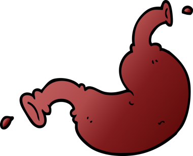 bir insan tarafından çizilmiş insan organı.