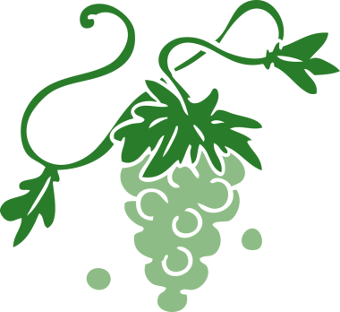 Bir insan tarafından asmaya çizilmiş üzüm karalaması.