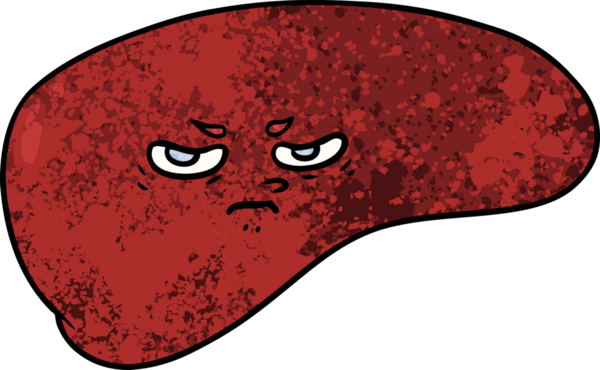 Bir insan tarafından çizilmiş karaciğer.