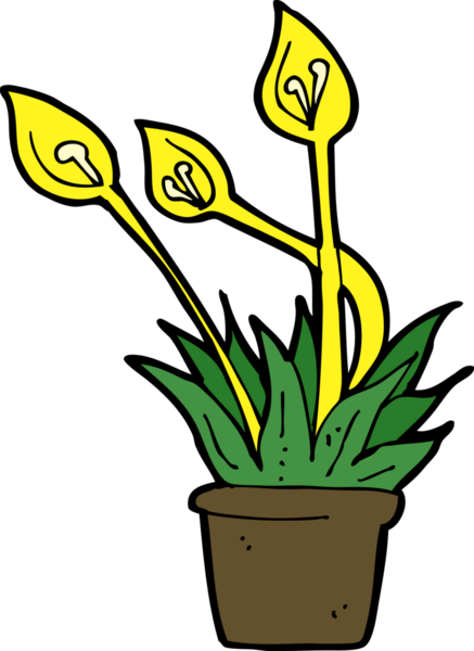 bir insan tarafından çizilmiş çizgi film orkidesi