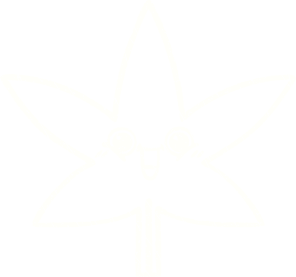 Bir insan tarafından çizilen Yaprak Tebeşiri