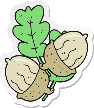 Bir insan tarafından çizilmiş meşe palamudu çıkartması.