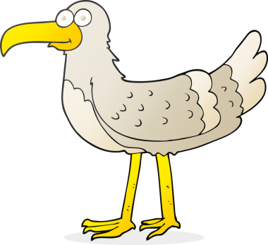 Bir insan tarafından çizilmiş serbest çizim martı.