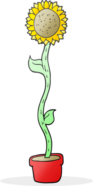 Bir insan tarafından çizilmiş serbest çizim ayçiçeği.