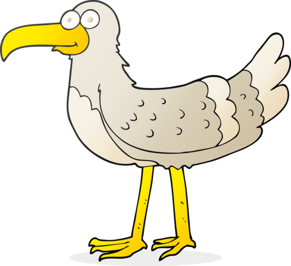 Bir insan tarafından çizilmiş serbest çizim martı.