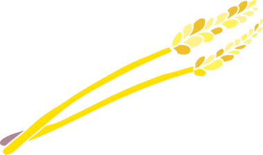 Bir insan tarafından çizilmiş karalama buğdayı.