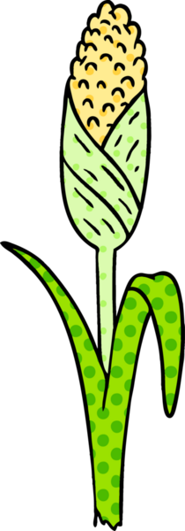 Bir insanın çizdiği koçandaki taze mısırın el çizimi karikatürü.