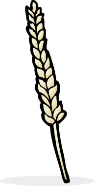 bir insan tarafından çizilmiş mısırlar