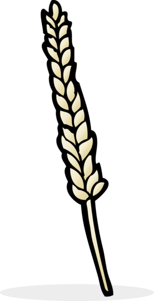 bir insan tarafından çizilmiş mısırlar