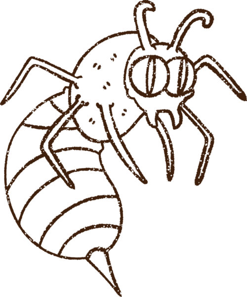 Bir insan tarafından çizilen eşekarısı kömürü