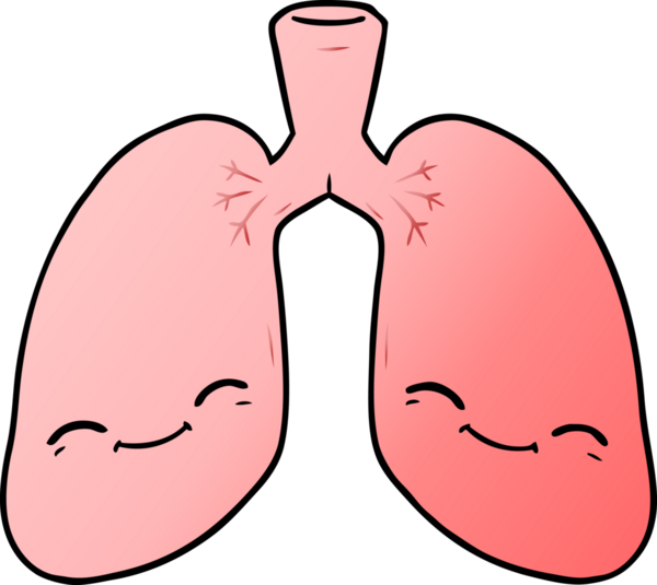 Bir insan tarafından çizilmiş karikatür ciğerleri.