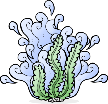 Bir insan tarafından çizilmiş karton deniz yosunu.