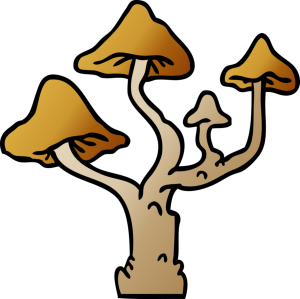 Bir insan tarafından çizilmiş mantarların el çizimi karikatürü.