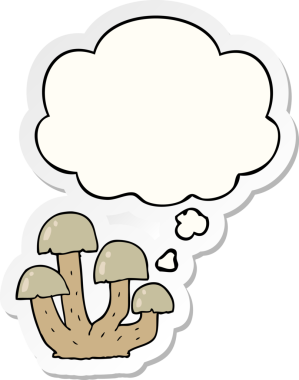 Düşünce baloncuklu mantar insan tarafından çizilmiş bir çıkartma.