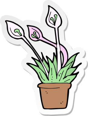 Bir insan tarafından çizilmiş karikatür orkide etiketi.