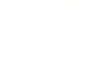 Bir insan tarafından çizilen Yılan Tebeşiri