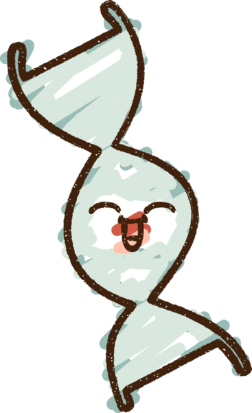 Bir insan tarafından çizilen DNA Tebeşiri