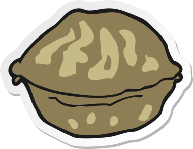 Bir insan tarafından çizilmiş ceviz kabuğunun çıkartması.