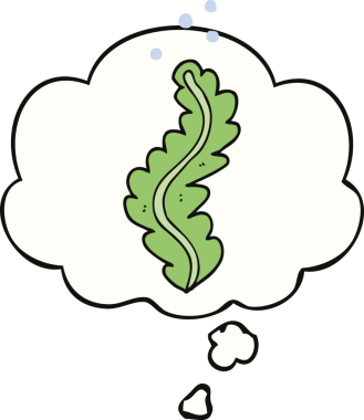 Bir insan tarafından çizilmiş düşünce baloncuklu karton deniz yosunu.